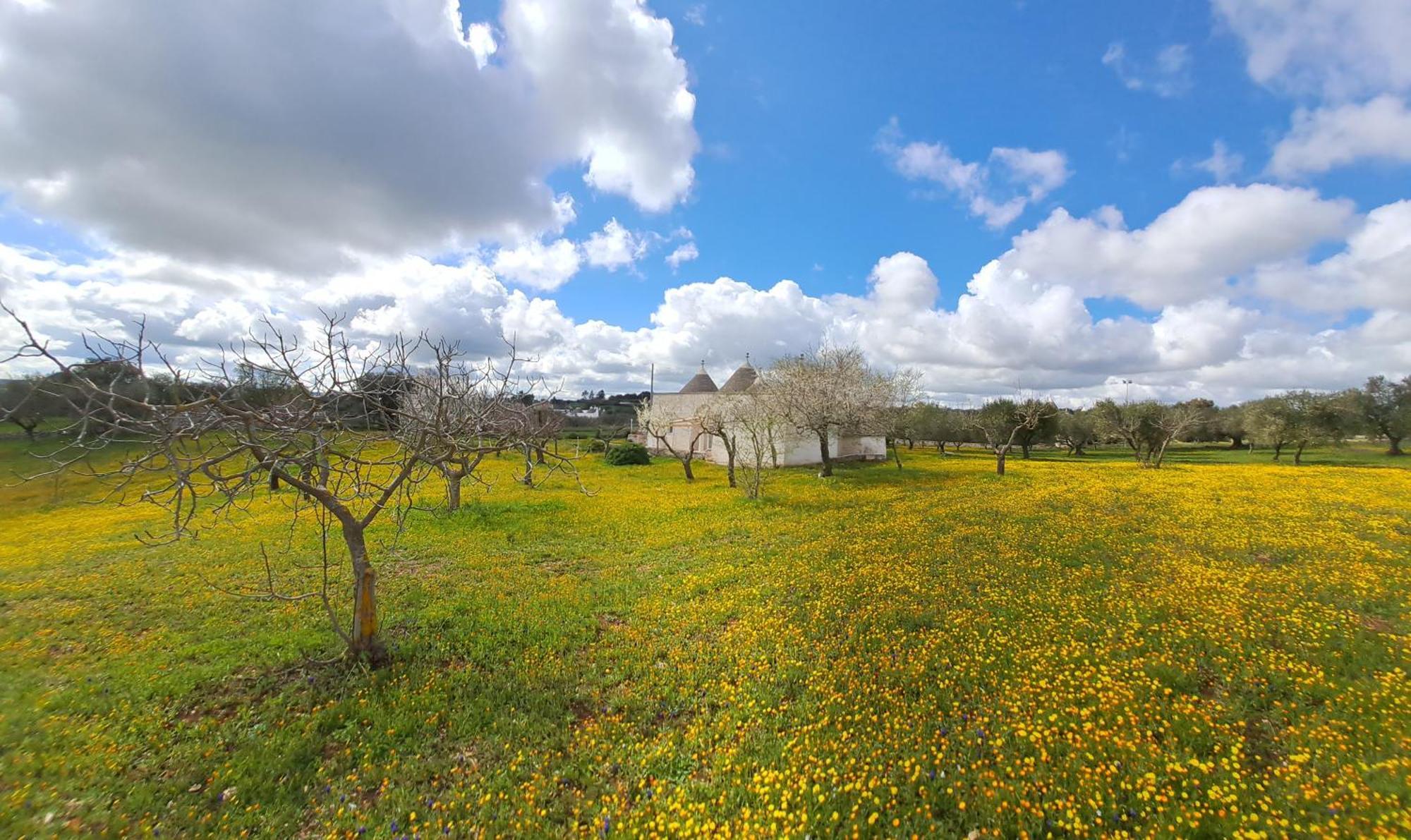 Trulli Carlo Anna Vila Locorotondo Exterior foto