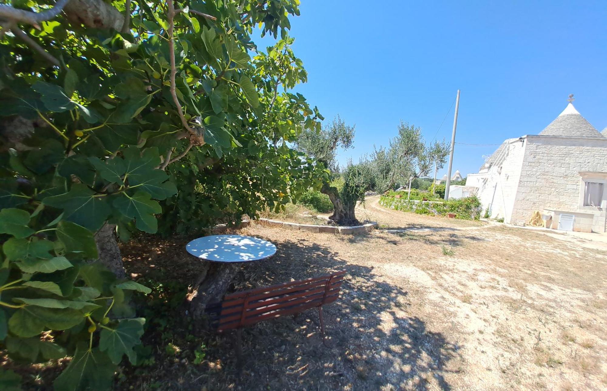 Trulli Carlo Anna Vila Locorotondo Exterior foto
