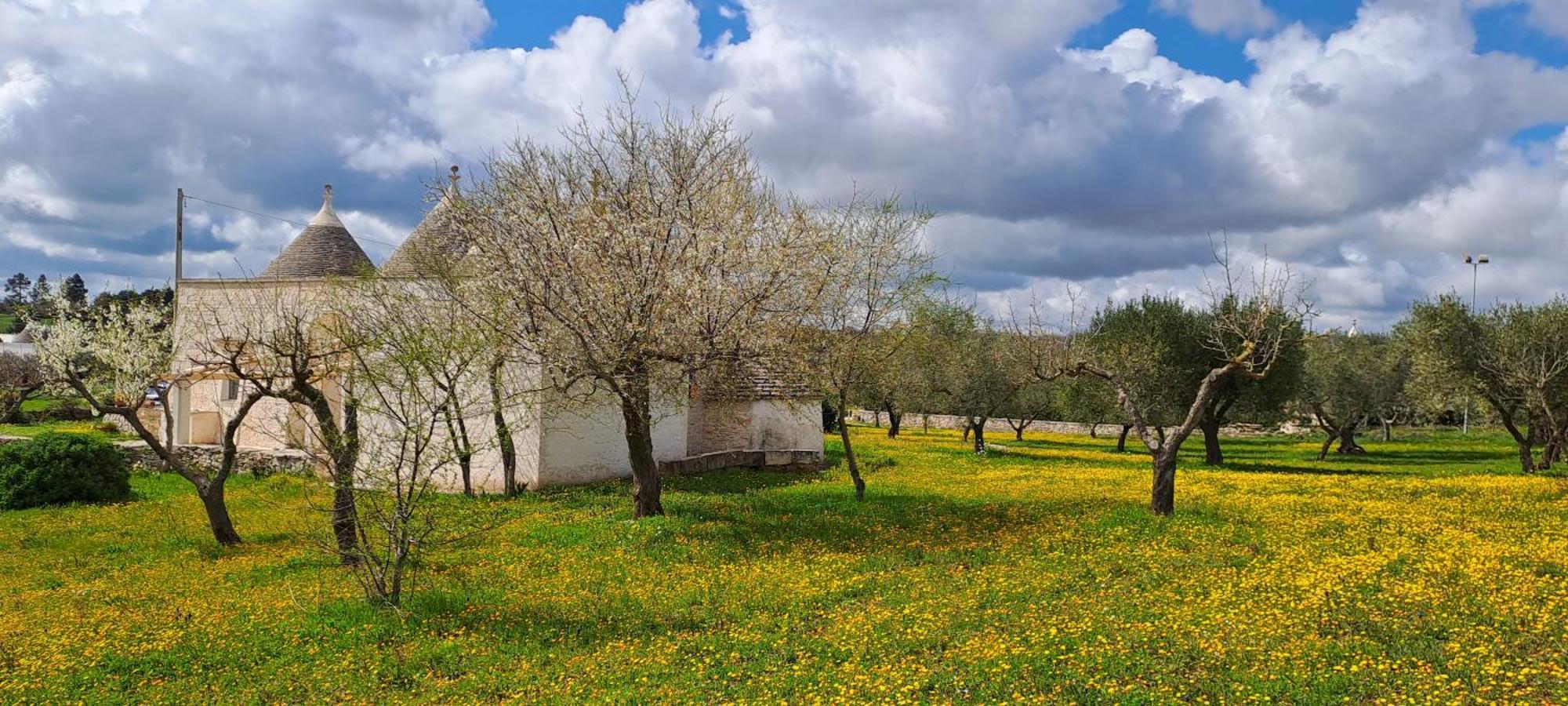 Trulli Carlo Anna Vila Locorotondo Exterior foto
